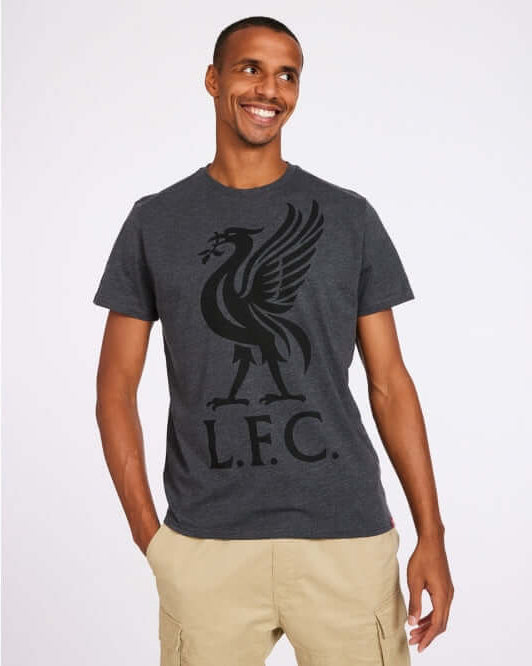 LFC Mens Charcoal Liverbird Tee Official LFC Store
