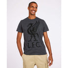 LFC Mens Charcoal Liverbird Tee Official LFC Store