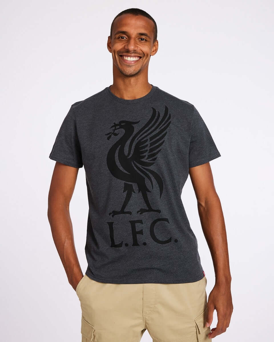 LFC Mens Charcoal Liverbird Tee Official LFC Store