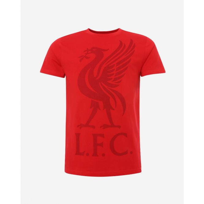 LFC Adults Liverbird Red Tee Official LFC Store