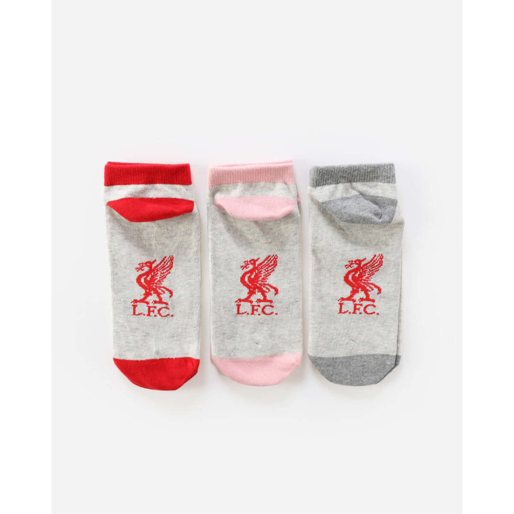 LFC Junior 3 Pack Boxed Socks - LFC RETAIL UAE